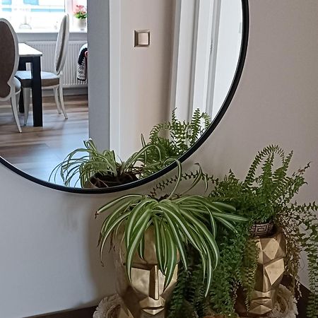 Apartamenty Holender House Choczewo Bagian luar foto