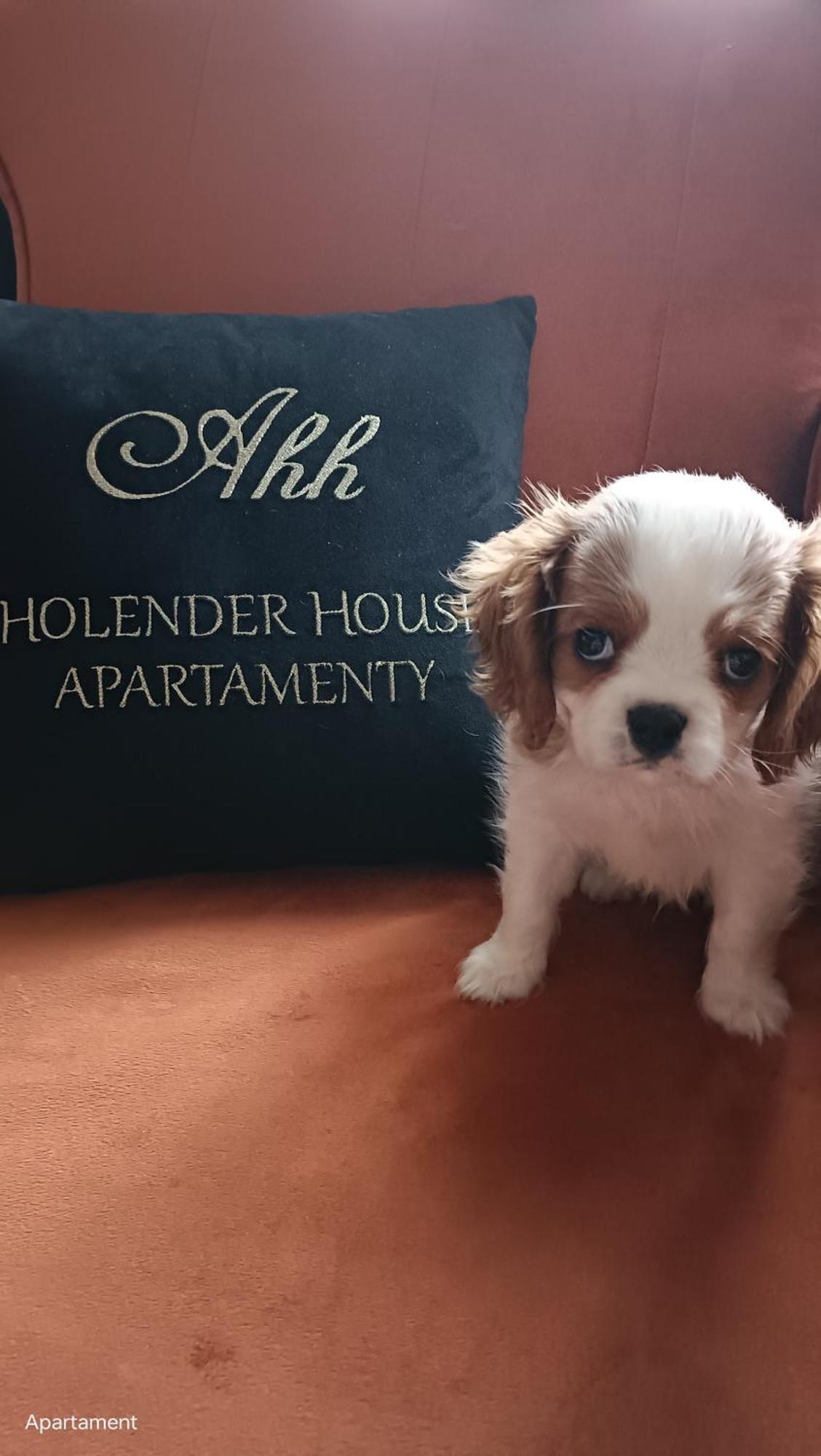 Apartamenty Holender House Choczewo Bagian luar foto